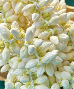 Real look Jasmine accessories