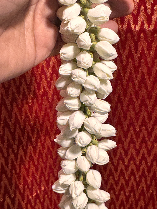 Bud Jasmine - String (16in)