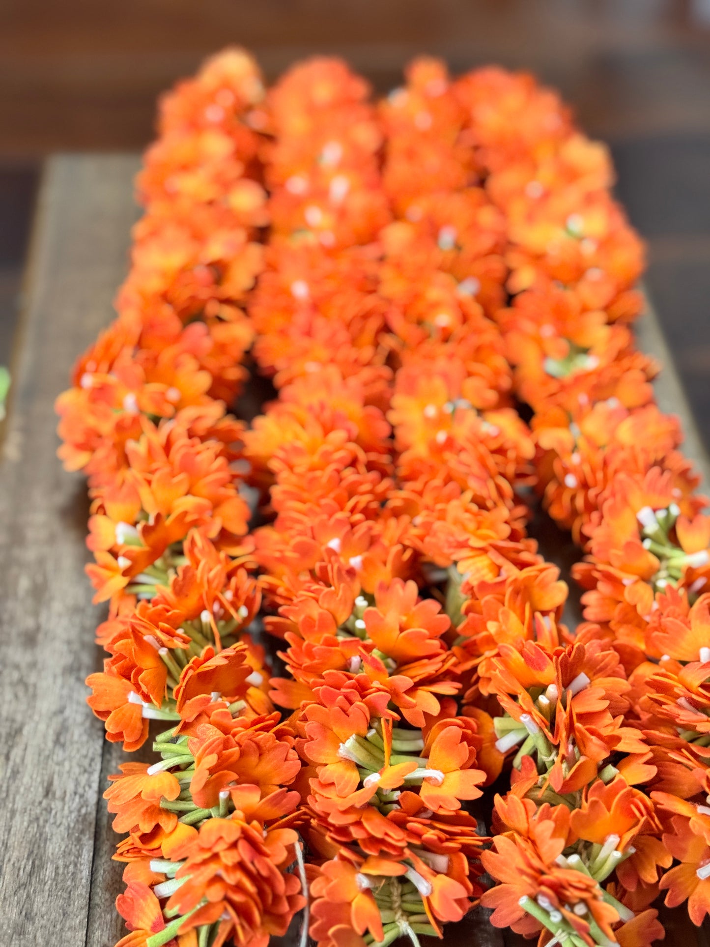 Kanakambaram/Crossandra - String (16in)