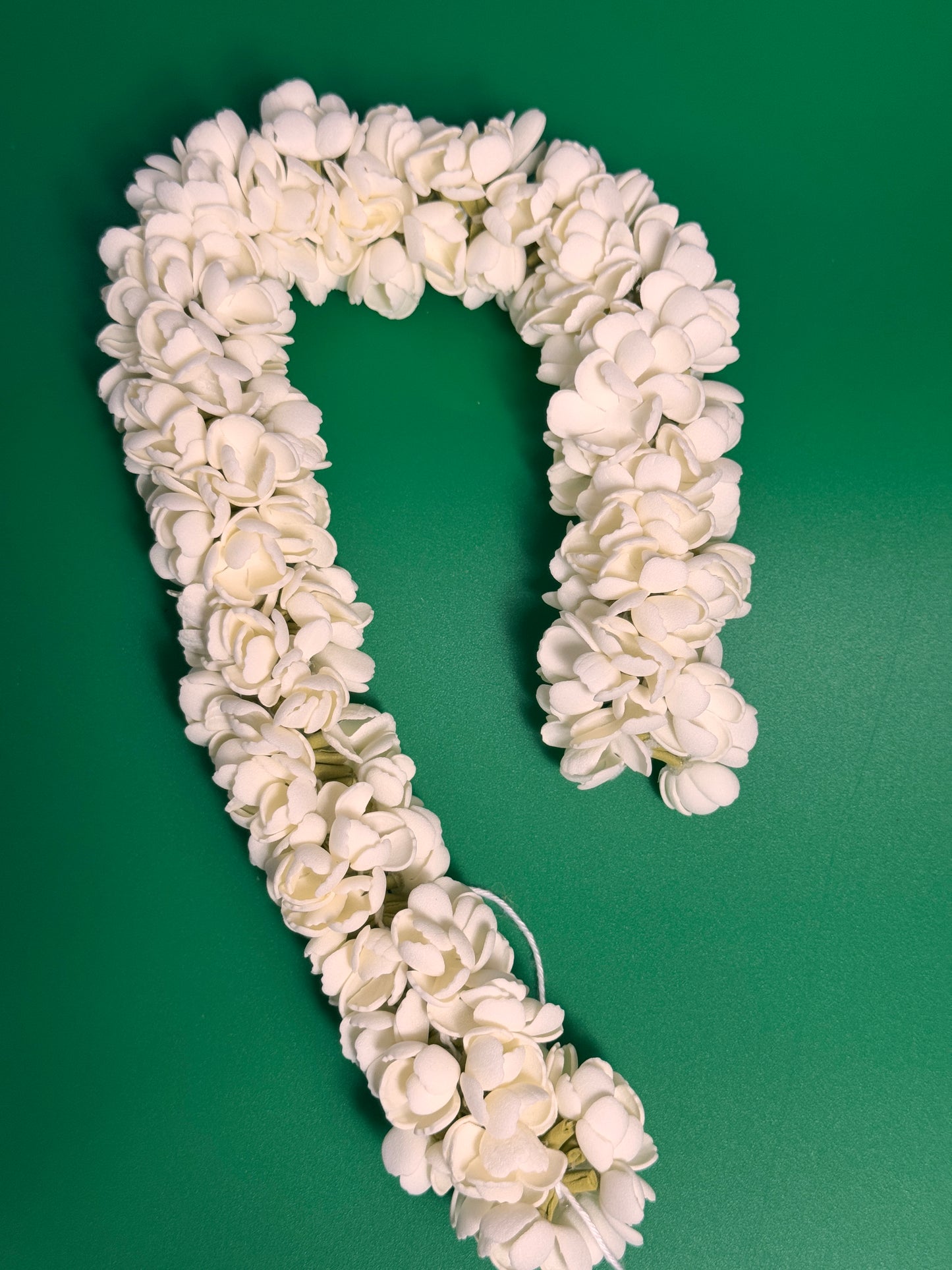 Regular Bloomed Jasmine  - String (16in)