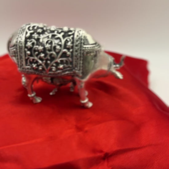 AS Cow video