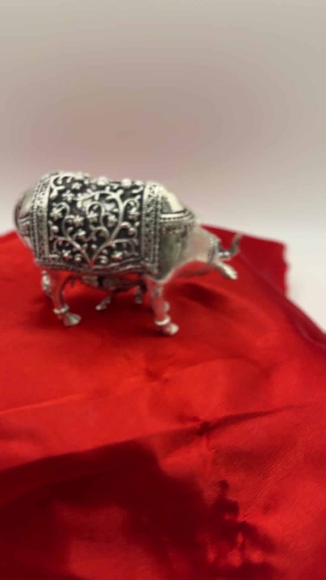 AS Cow video